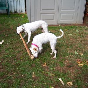 Meet your Posher, Linda